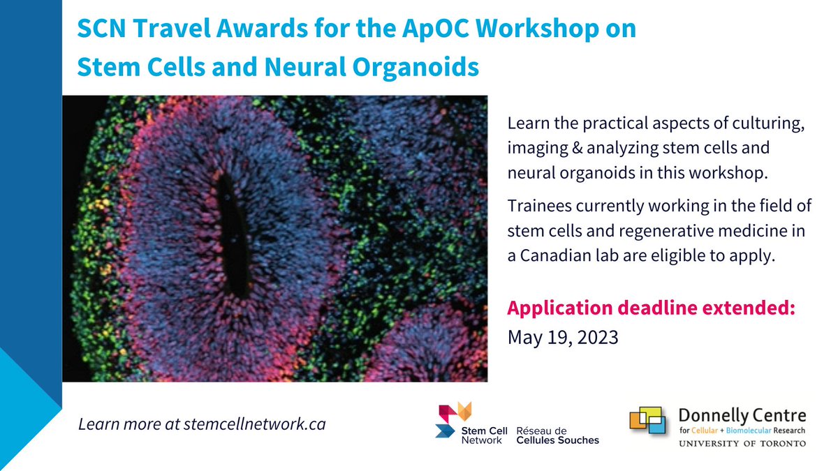 Stem Cell Network (@stemcellnetwork) on Twitter photo 🚨 Attention trainees! Application deadline extended until May 19 for #travelawards to attend the ApOC Workshop on Stem Cells & Neural Organoids happening in-person on July 10. Apply today to learn about the generation of neural #organoids from #stemcells:
stemcellnetwork.ca/training/works… 🚨 Attention trainees! Application deadline extended until May 19 for #travelawards to attend the ApOC Workshop on Stem Cells & Neural Organoids happening in-person on July 10. Apply today to learn about the generation of neural #organoids from #stemcells:
stemcellnetwork.ca/training/works…