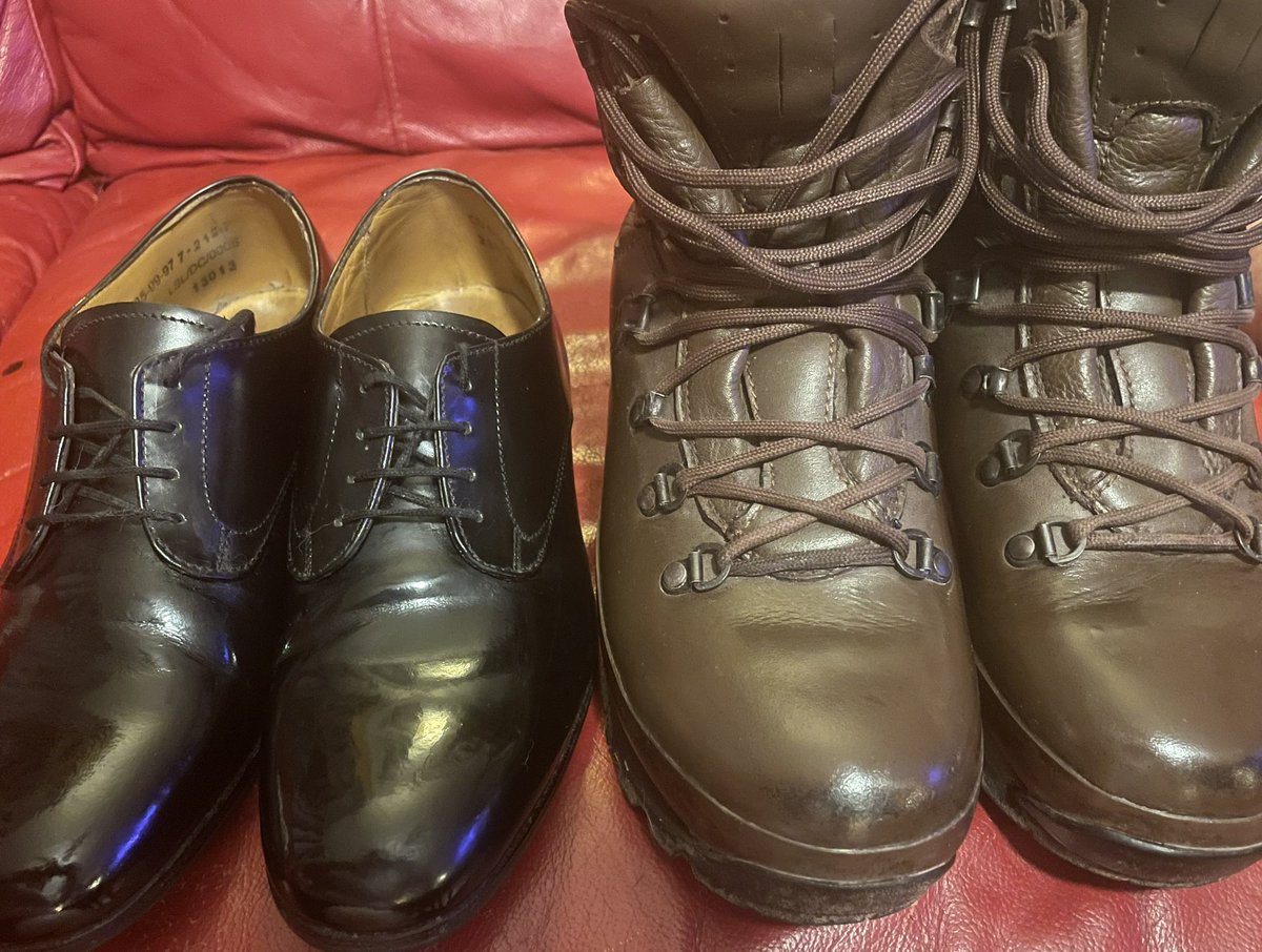 Rachael Taylor tweet media