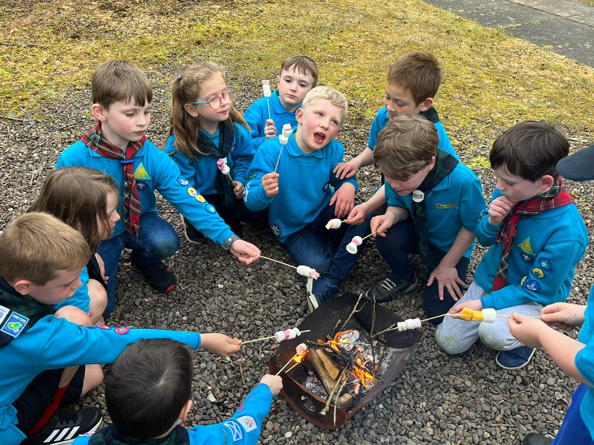 1st Kinross Beavers tweet media