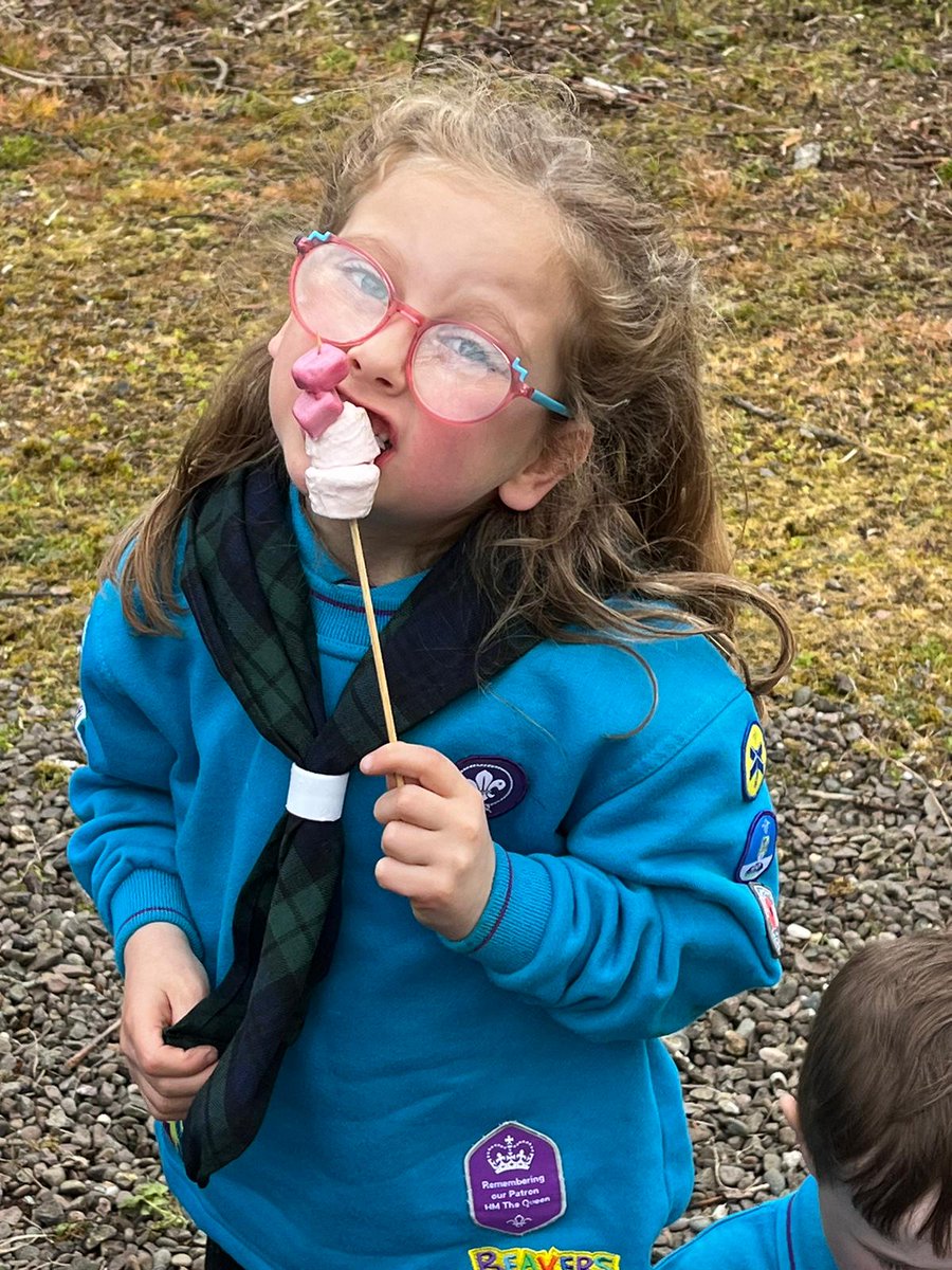 1st Kinross Beavers tweet media