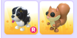 Red squirrel and Black Springer Spaniel gw
{🕰️}
- Follow <a href="/kvvara_/">karaa 🗣 #Ilovekaraa #allisupremacy | dmts</a> + <a href="/ixxxkvv_/">Kara !!</a> 
- like + rt🍂

optionals
- follow <a href="/CyberZori/">William Mcdonald</a> + <a href="/mvvina_/">mina 🌱 || #iloveminamore !!!</a> 
- be active