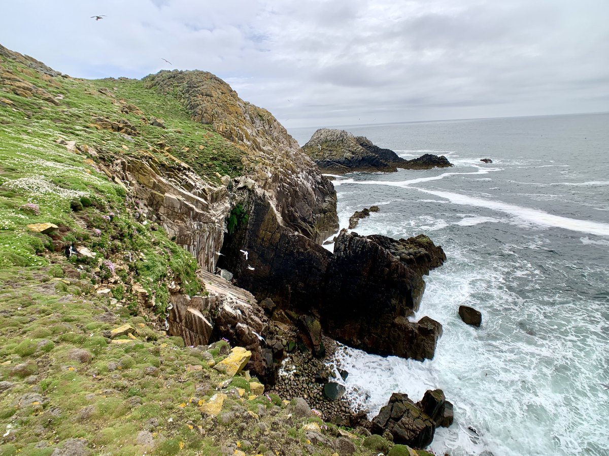 LukeandTylerTr1's tweet photo. Our visit to the Saltee Islands was amazing! And can you say PUFFINS?! #travel #travelbloggers #ireland #gaycouple #wildlifephotography #puffins #birdphotography #hiking #nature https://t.co/NuWFH4ucYv