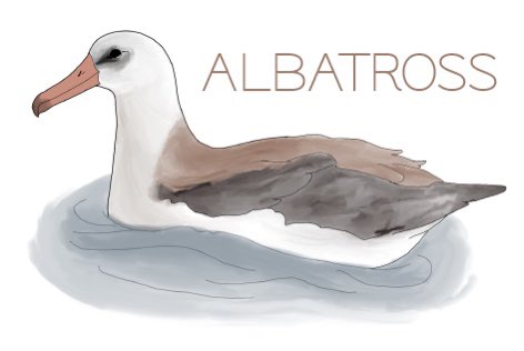 Following the lab’s bird theme, we’re excited to present ALBATROSS; A deep-Learning Based Approach for predicTing pRoperties Of diSordered proteinS).
