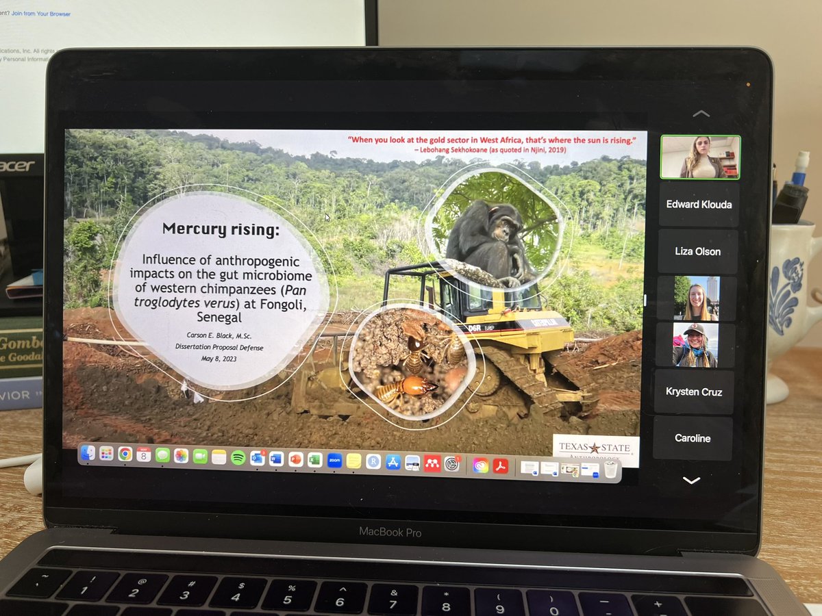 Rachel Nelson (@chimpologistrsn) on Twitter photo I got to watch my incredible friend <a href="/CarsonBlack/">carson black, MSc</a> defend her proposal defense today! I’m so proud of you Carson and I can’t wait to see where your research leads you 🐵 I got to watch my incredible friend <a href="/CarsonBlack/">carson black, MSc</a> defend her proposal defense today! I’m so proud of you Carson and I can’t wait to see where your research leads you 🐵