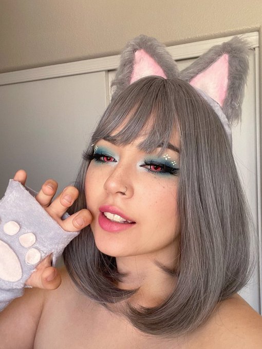 me when i nyanyanyanyanyanyanyanyanyan :3c https://t.co/qb3Zi95lUl