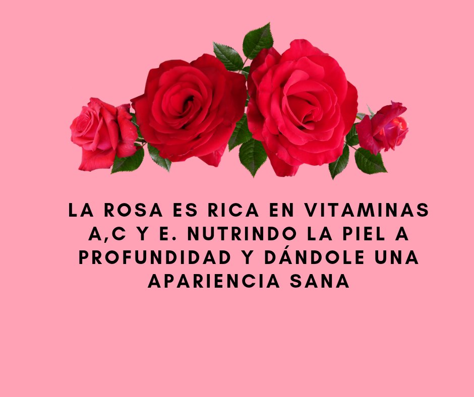 nexaali's tweet photo. Feliz día internacional de la #Roñsa🌹

Esta semana tendremos entregas todos los días para que mamá no se quede sin regalo 🥀 https://t.co/QLEJ6L6RHJ