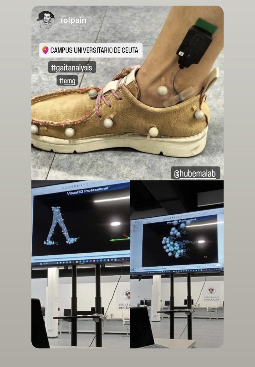 hubemalab tweet media
