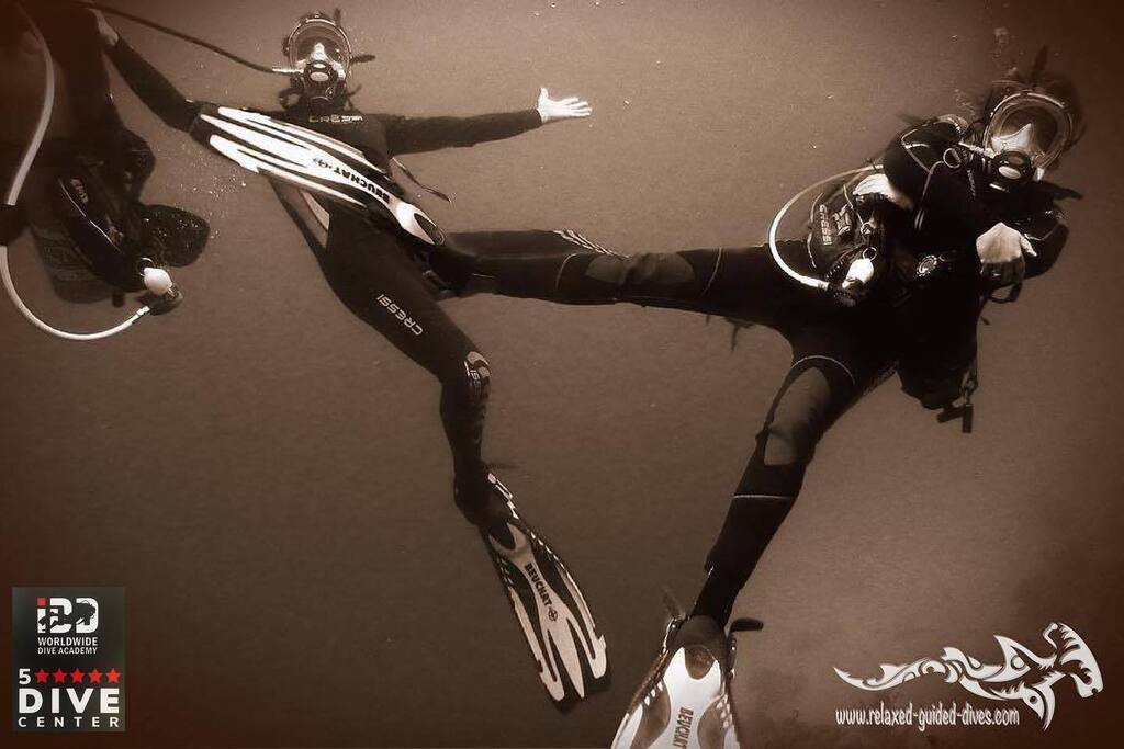 Your 5 star divecenter to be at Curaçao, offering dive courses, rental gear, tankfills air or nitrox and of course Relaxed Guided Dives with small groups 😎🇨🇼🏝#scuba #scubadiving #relaxedguideddives #travel #explore #discover #curacao #fun #duiken #ta… instagr.am/p/Cr_h52TunYm/