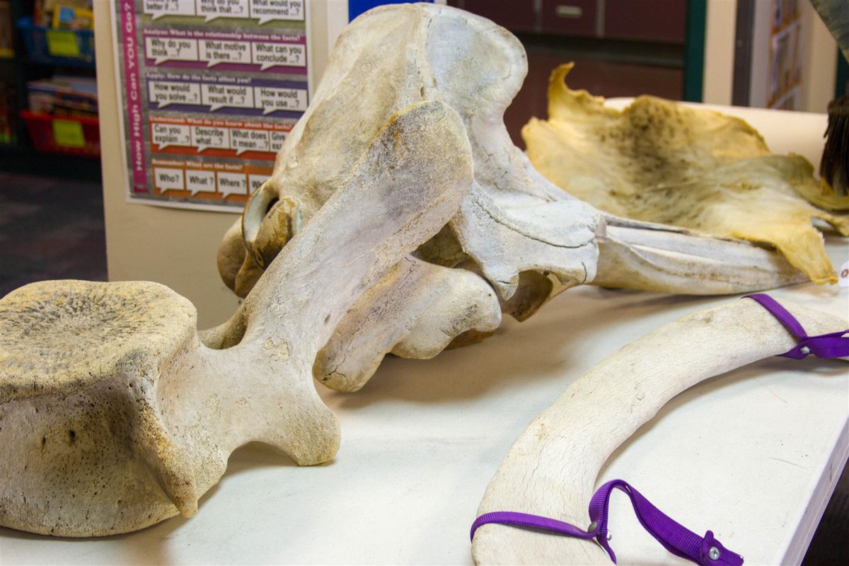 **Marine Biologist John Ford inspires Lewis River Academy students to dive into the wonders of Pacific Northwest marine biology**
 
Ford shared his expertise and enthusiasm, shedding light on the fascinating world that exists within the ocean.

More: bit.ly/42EMoy1