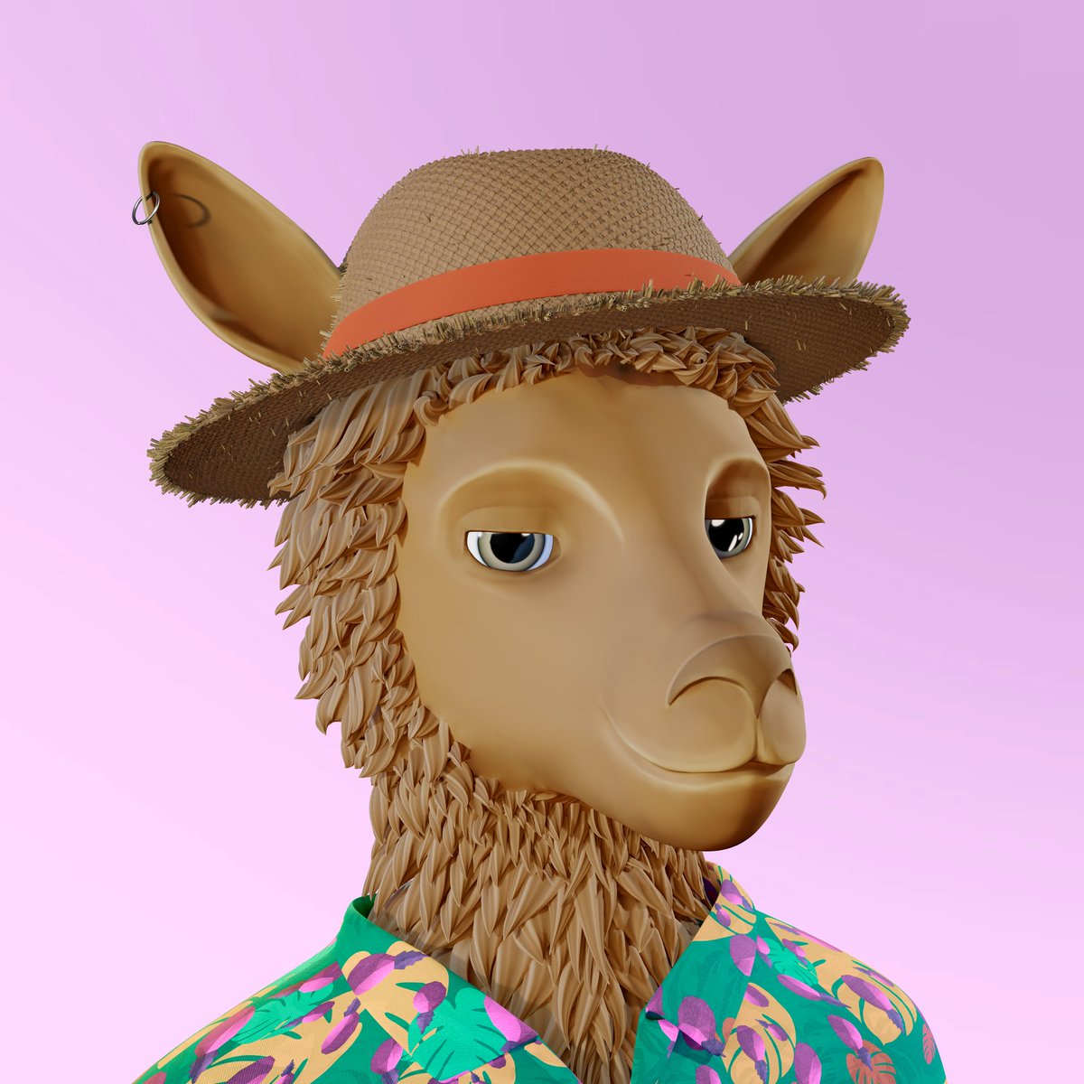 Lazy Llama Sales tweet media