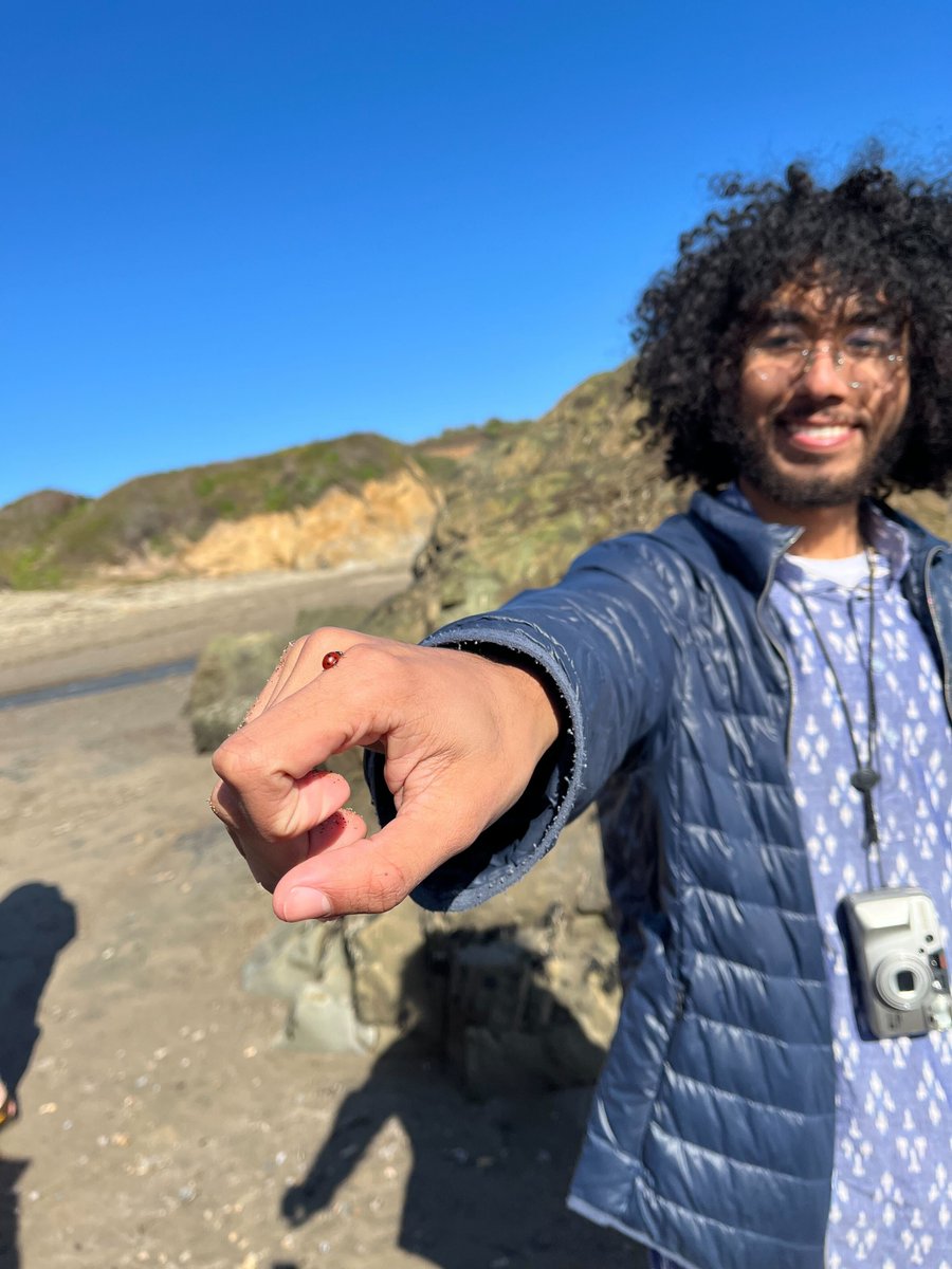 dr.noelleletoile tweet media