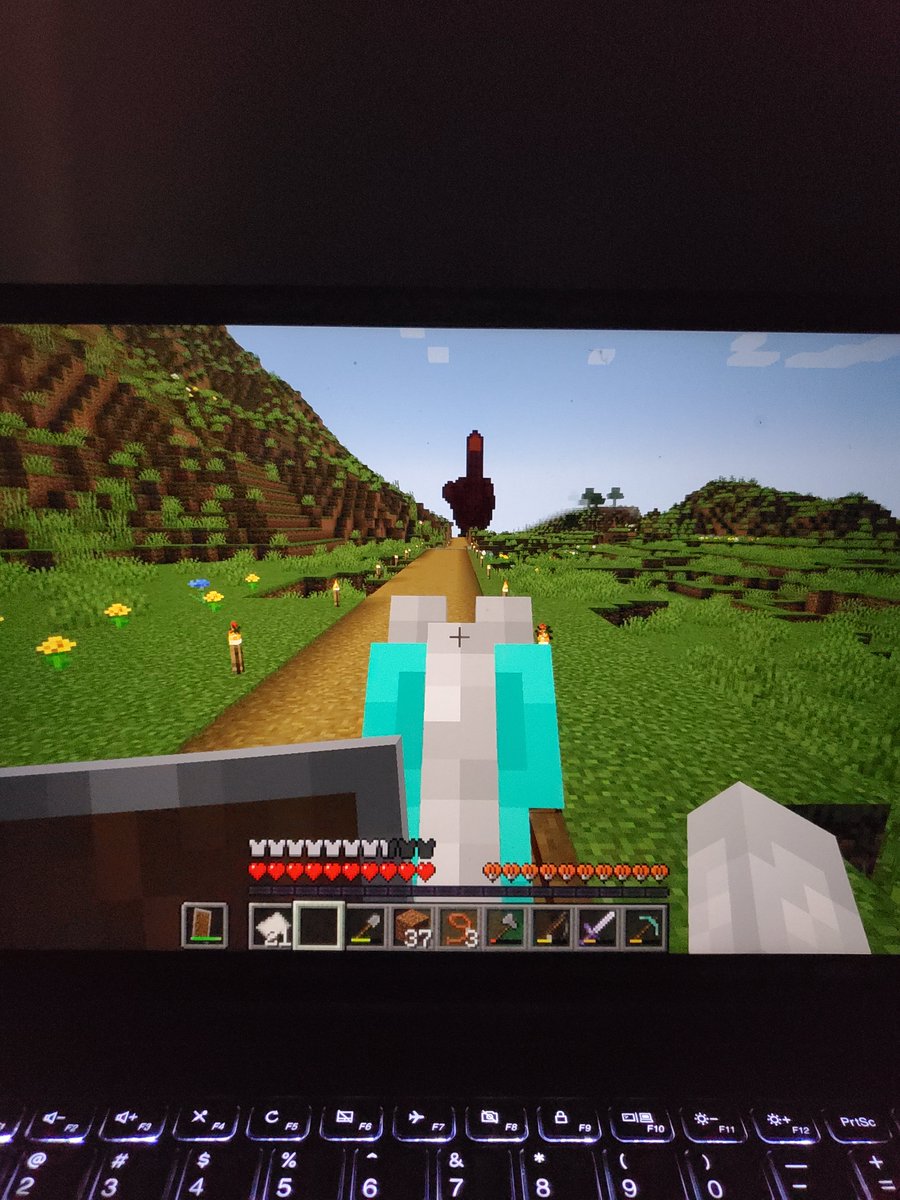 Some days I read... other days I ride my diamond armored horse down an open road following a giant middle finger.

#Minecraft #Minecraftbuilds #horse #readingcommunity #laughing #gaming
