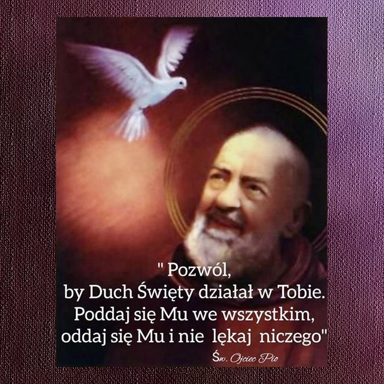 Jacek Plutecki On Twitter Szcz Bo e Prawym Polakom Jestem jacek-plutecki-on-twitter-szcz-bo-e-prawym-polakom-jestem