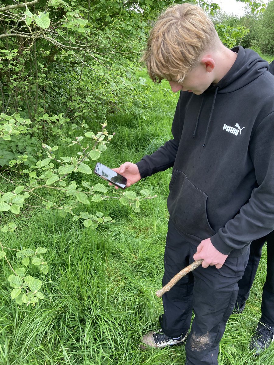 TuckwellHouse's tweet photo. A busy bank holiday with 4th Form taking part in a BioBlitz as part of the ‘Big Help Out’ and Rowan and Josh coming 2nd in Junior Masterchef 2023 with a Moroccan themed banquet! https://t.co/d8b8Or8P35
