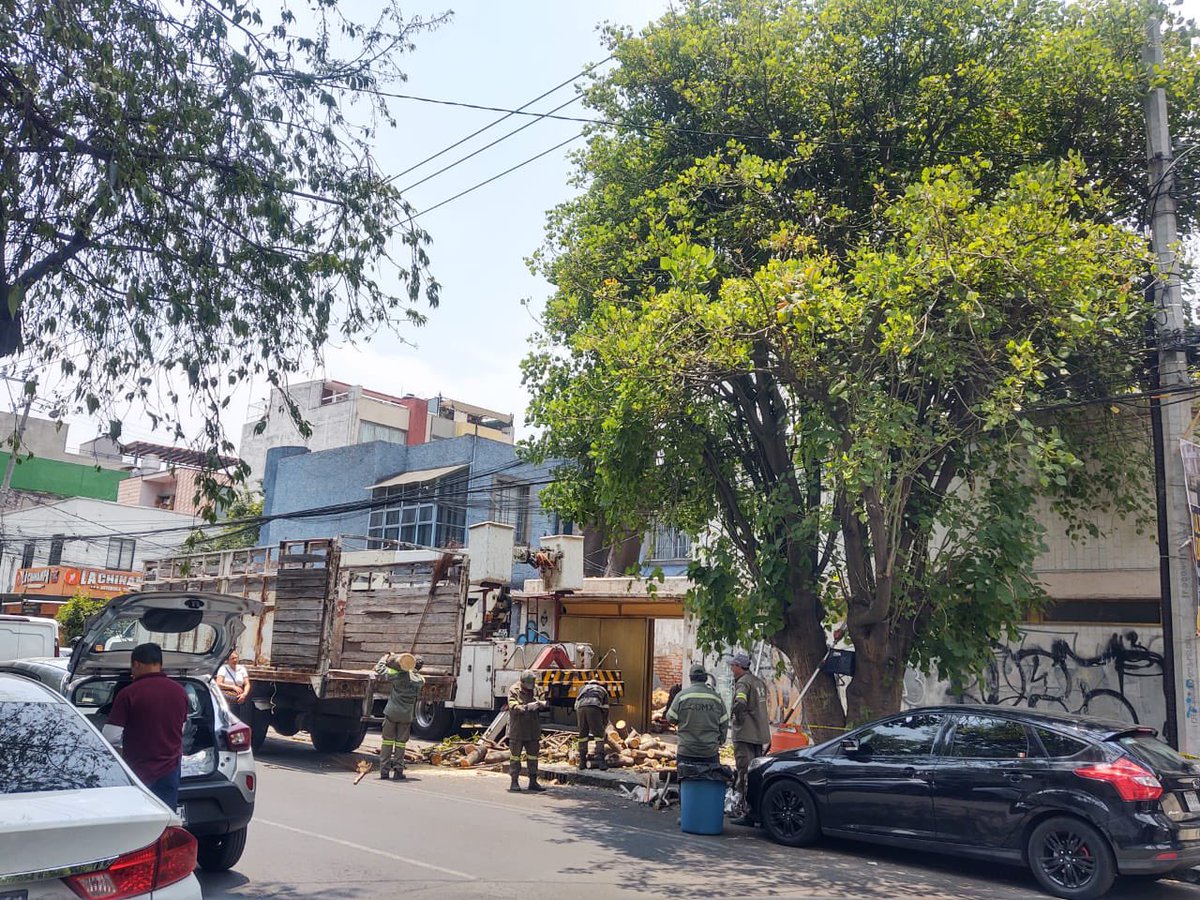 Hector_Zarinana's tweet photo. Una más del #CartelInmobiliarioBJ encabezado por
@STaboadaMx están aniquilando árboles 🌳 en #DelValle #BenitoJuarez 📷 Concepción Beistegui 713 todo para hacer una construcción ilegal. #FueraTaboada https://t.co/tSgohykWl5