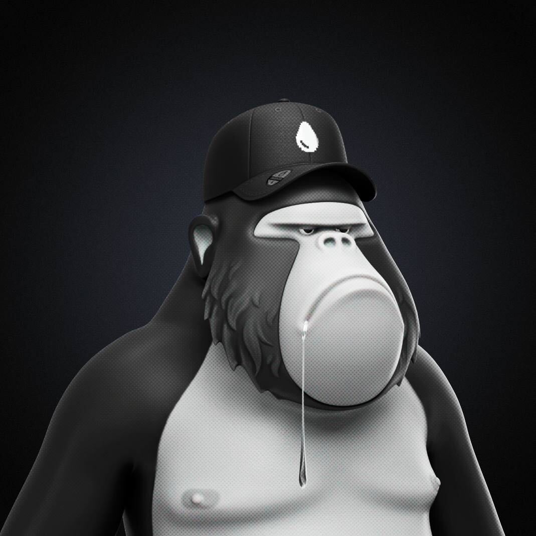 DRiP 💧 tweet media