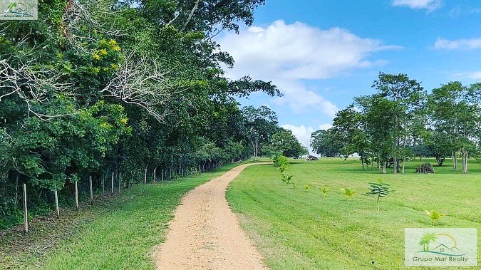 RealtorInBelize's tweet photo. This 20-lot homesite development is an excellent place to build your home and enjoy nature and tranquility.
#belize #belizeproperty #belizerealestate #realtor #internationalrealestate #acreage #hilltop #views #buildyourhome #grupomarrealty #liveinbelize #propertyforsale https://t.co/gHBnFBCEnd