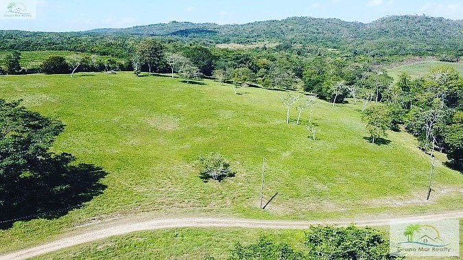 RealtorInBelize's tweet photo. This 20-lot homesite development is an excellent place to build your home and enjoy nature and tranquility.
#belize #belizeproperty #belizerealestate #realtor #internationalrealestate #acreage #hilltop #views #buildyourhome #grupomarrealty #liveinbelize #propertyforsale https://t.co/gHBnFBCEnd