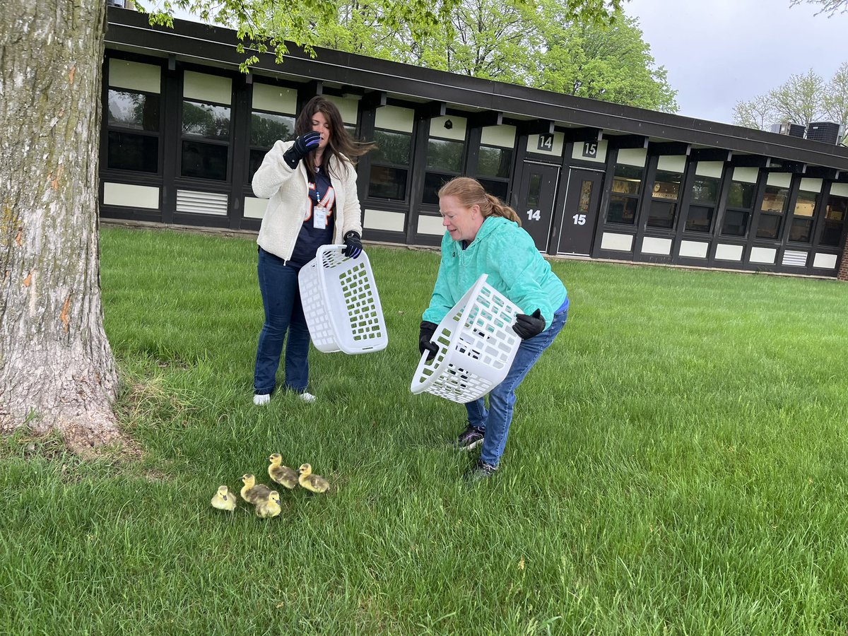 Ms. Wegner tweet media