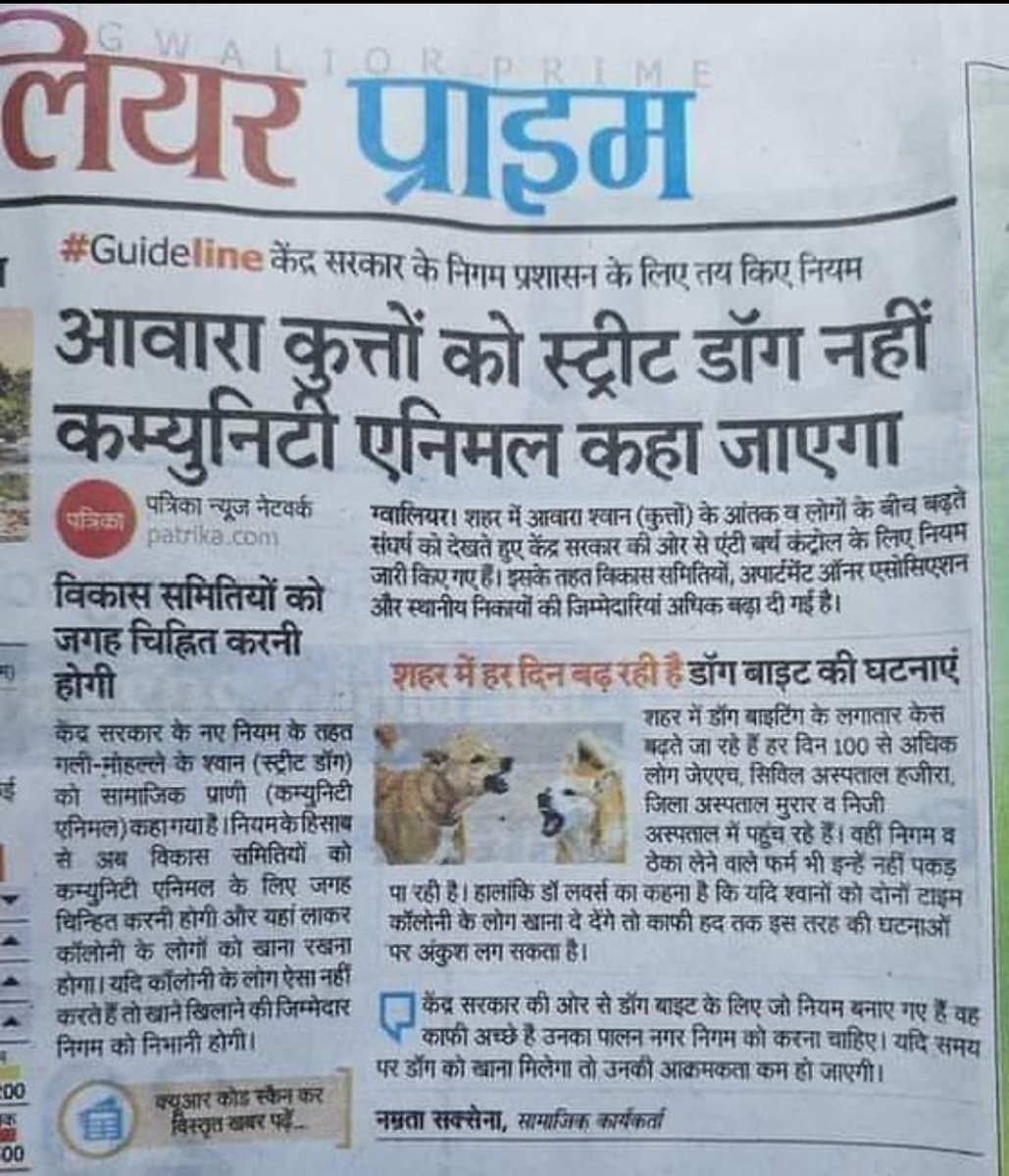 ppfromweaarambh's tweet image. बोला था ना, उन्हें आवारा मत कहना। 
💟🐾
#communitydogs #AnimalWelfare