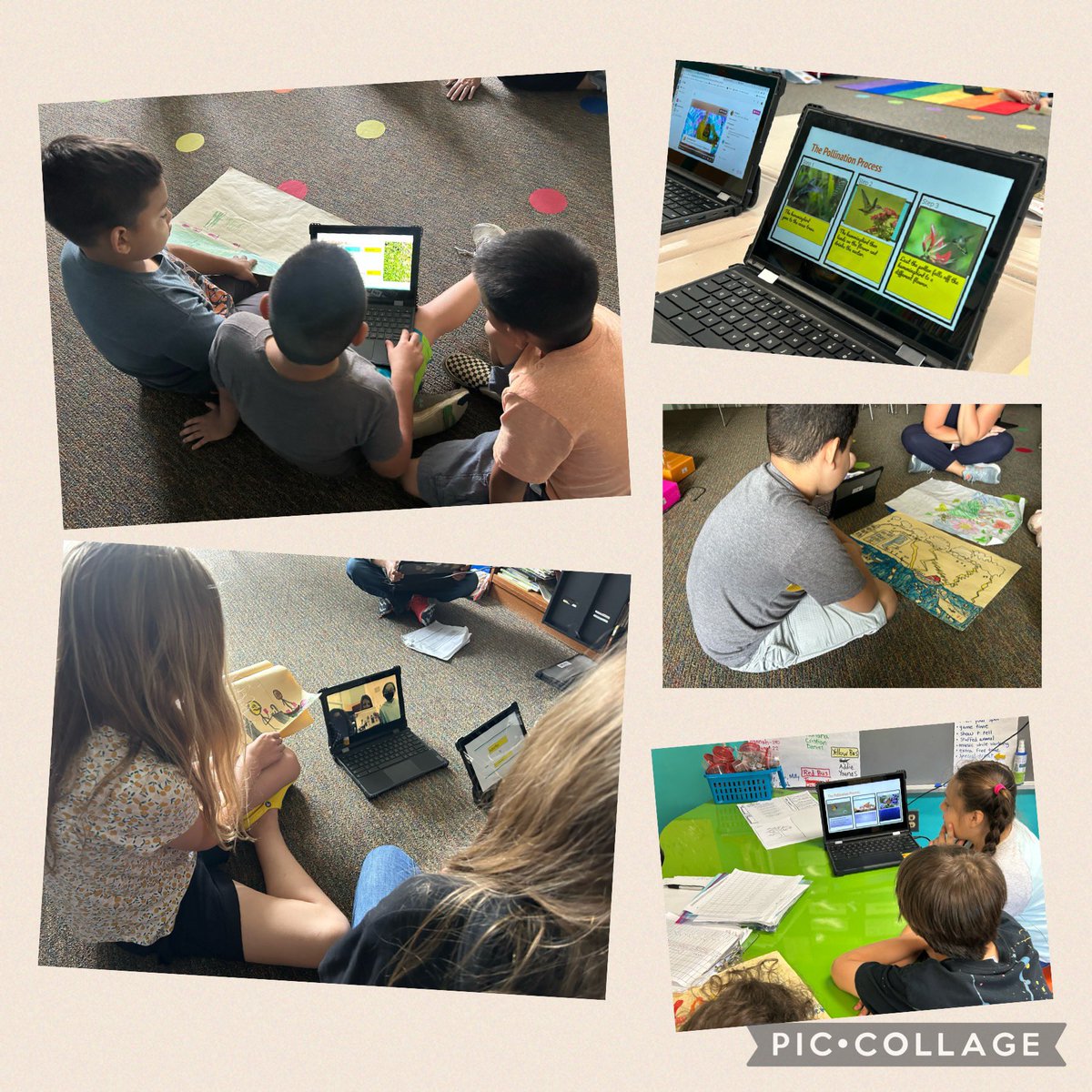 Today our <a href="/BaileywickWCPSS/">Baileywick Elementary</a> 2nd and 3rd students shared their most recent ELA performance tasks with each other. <a href="/ELeducation/">EL Education</a>
