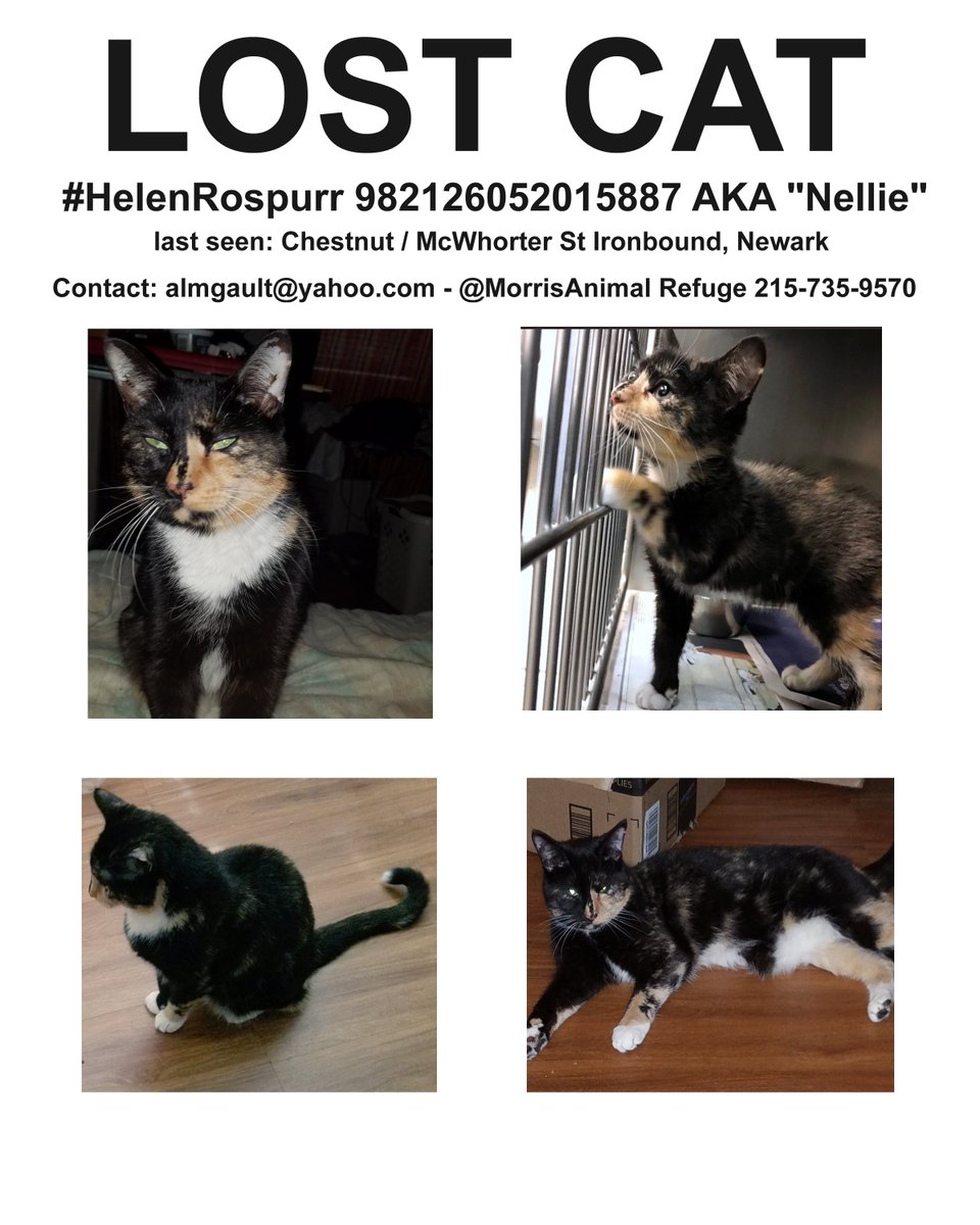 Blackie Nunmoore tweet media