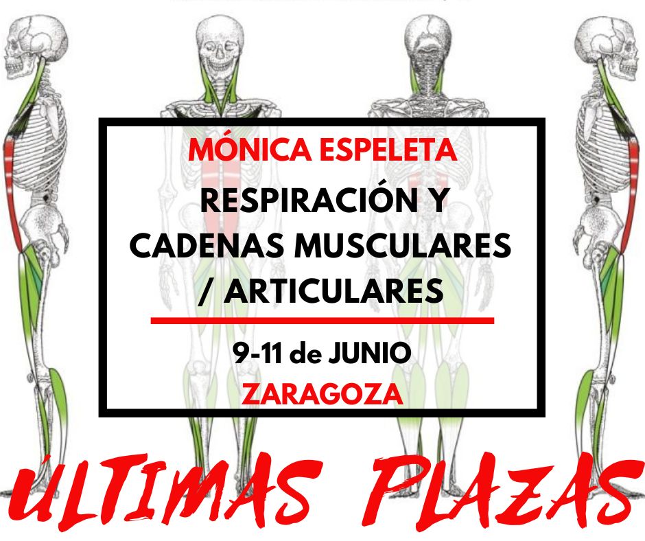 ¿Aún no te has apuntado a la formación que impartirá Mónica Espeleta en Zaragoza? Descubre por qué el diafragma no es sólo un músculo de la respiración y cómo influye en la forma de nuestra espalda y también sobre la dinámica del cuerpo. ecufis.com/curso/optimiza…