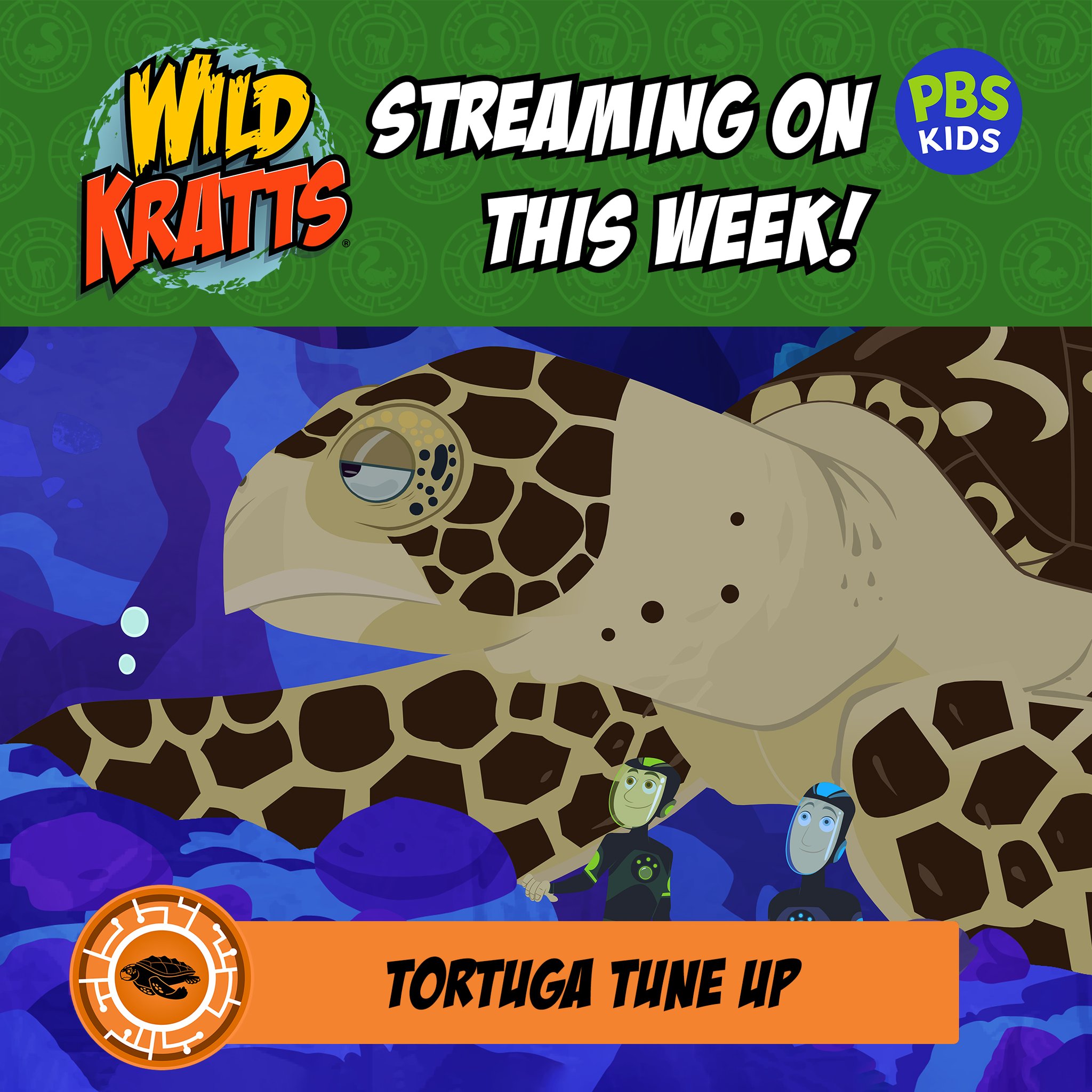 Wild Kratts Pbskids - h76h96y