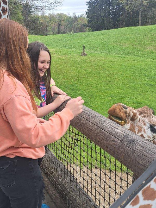 Tony Hollow tweet media