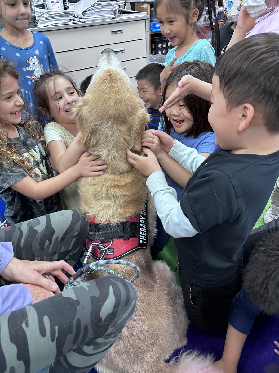 Nothing better than a surprise visit from Walter! Walter brings such joy into our classroom!🐶😍 <a href="/SearingtownK5/">Searingtown School</a> <a href="/HerricksSchools/">Herricks Schools</a>