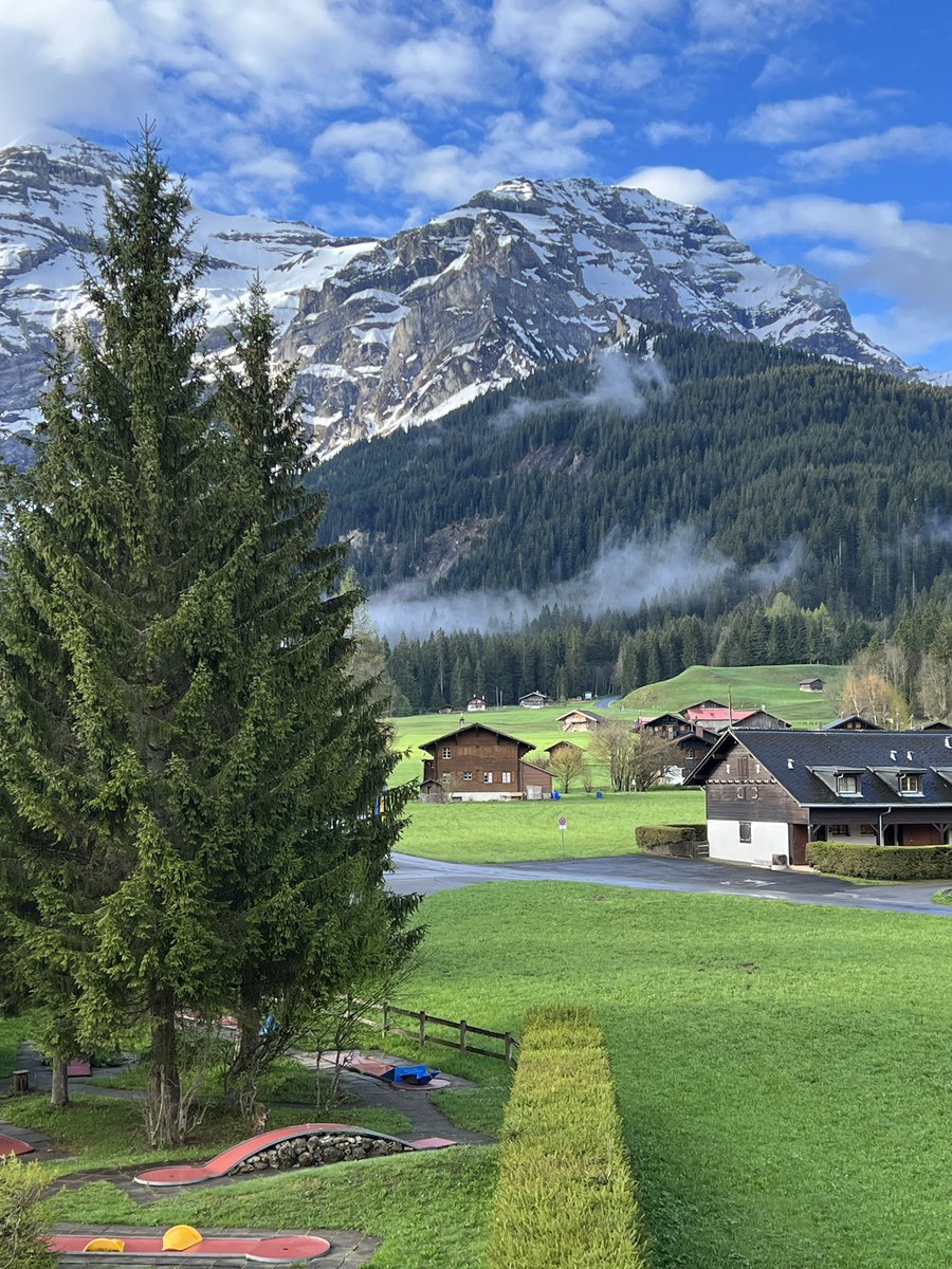 Dr. Pam McLean tweet media