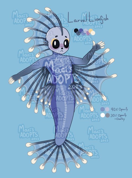 macithemaci's tweet image. HAPPY MERMAY! I made some adoptables!

More info in the thread!!

RTs APPRECIATED 🧜‍♀️

#mermay #mermay2023