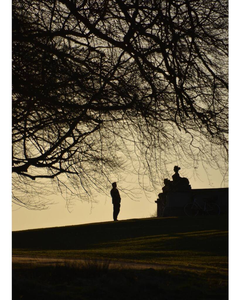 knut's tweet image. Meeting the sfinx. Taken in Dyrehaven at Eremitageslottet in April. instagr.am/p/Cr_nNQisrNM/