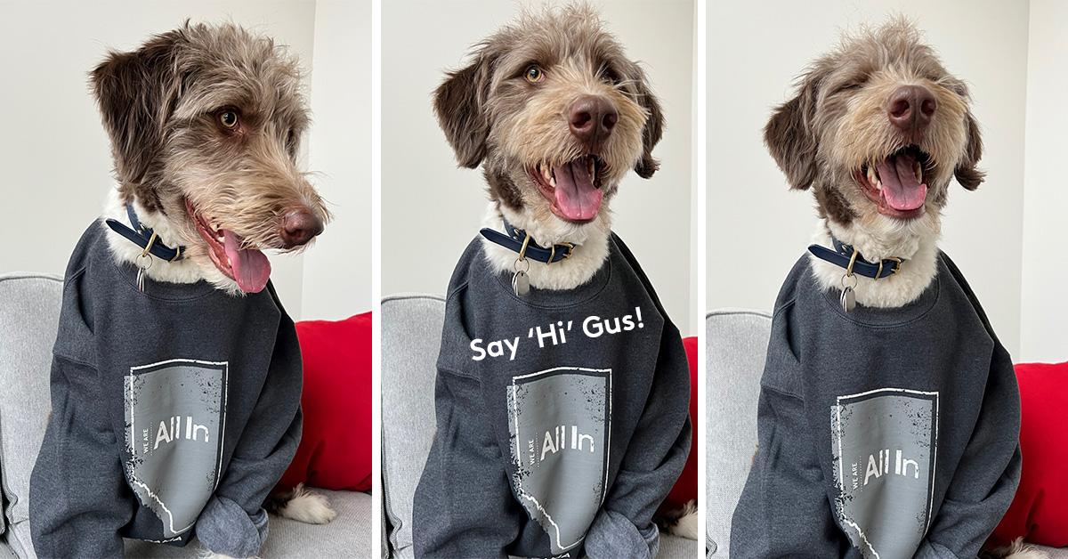 ADAMA_CAN's tweet photo. Camera shy? Gus's owner is so he's sporting an #ADAMARoadshow Sweater and will be getting a Tim's gift card for tagging us in his photo. #AllInOnADAMA https://t.co/c5rPrQ4WDZ