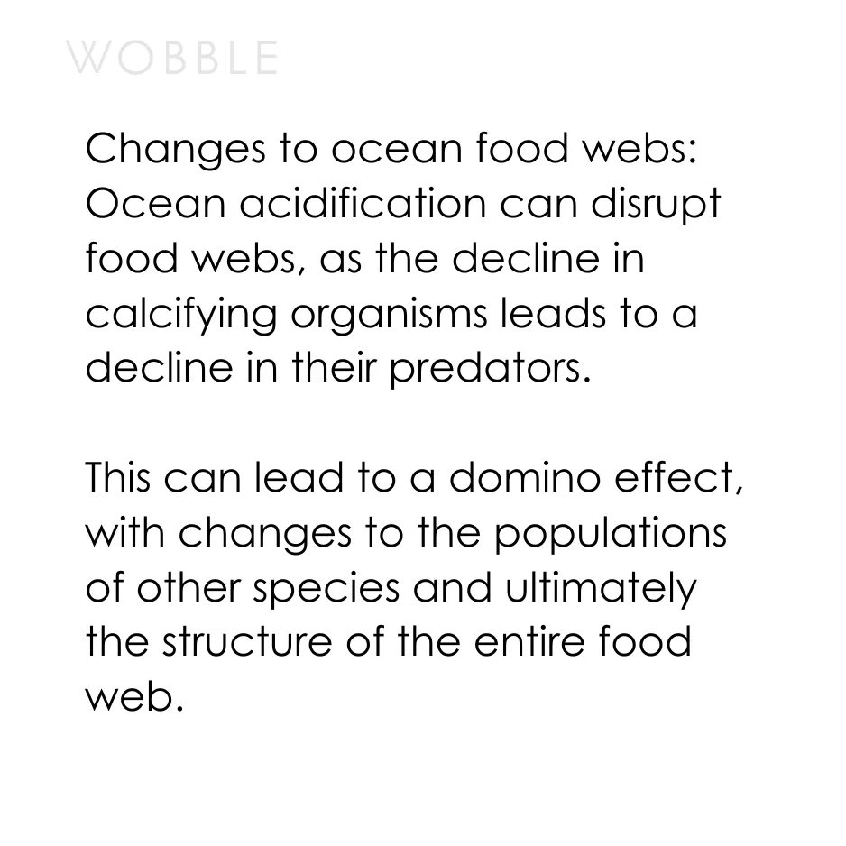 The impact of ocean acidification on marine life.

#wobble #wobbleindia #article #read #ocean #marine #marinelife #acidification #pHlevels #marineorganisms