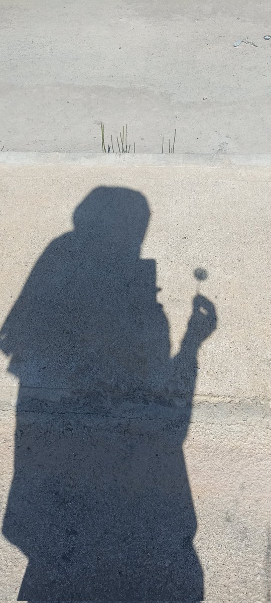 Yorulursun. Konuşmak istersin ama susarsın. Dilin susar bedenin konuşur. Düğüm olur sözcükler boğazına. Ne olup biter anlamazsın. Ağlarsın ve rahatlarsın. Güvendiğin tek kişiye ağlarsın... Kendine.