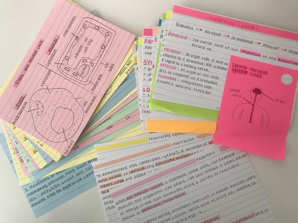 ggi_study's tweet image. ❥ como fazer flashcards!! 
 °• a thread