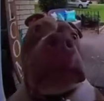 DaDog__'s tweet image. Can anyone possibly by chance send me a tutorial on how to draw the black impostor visor?