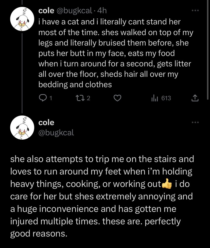 ? (semi recovery) on Twitter "one time my cat scratched my eyeball and