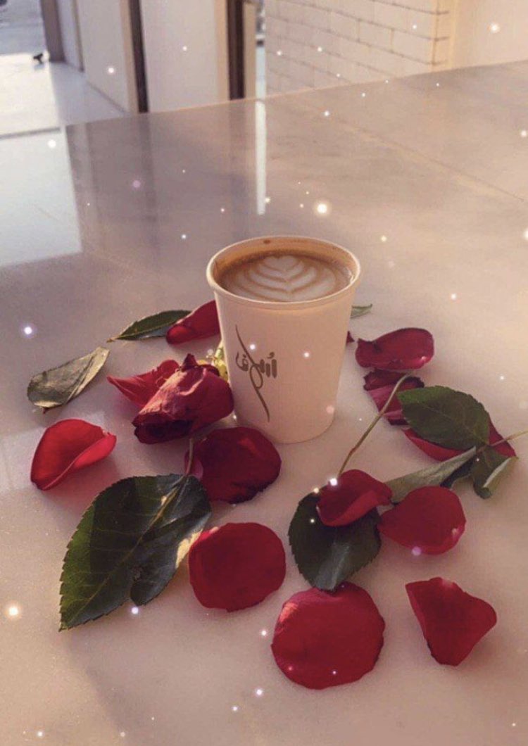 KylaVetus's tweet photo. أغرس خيرا تجد ثماره! https://t.co/WmQUWAViOp