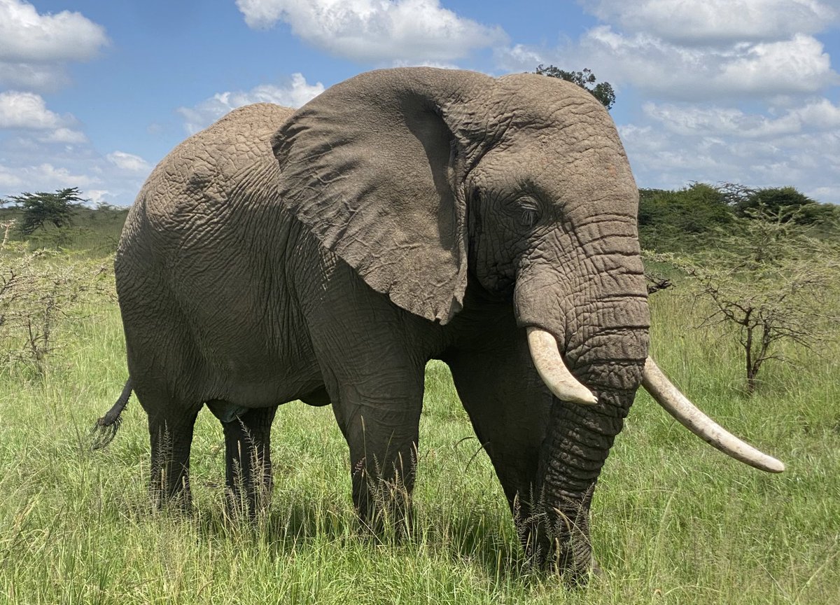 Tricia Cullop tweet media