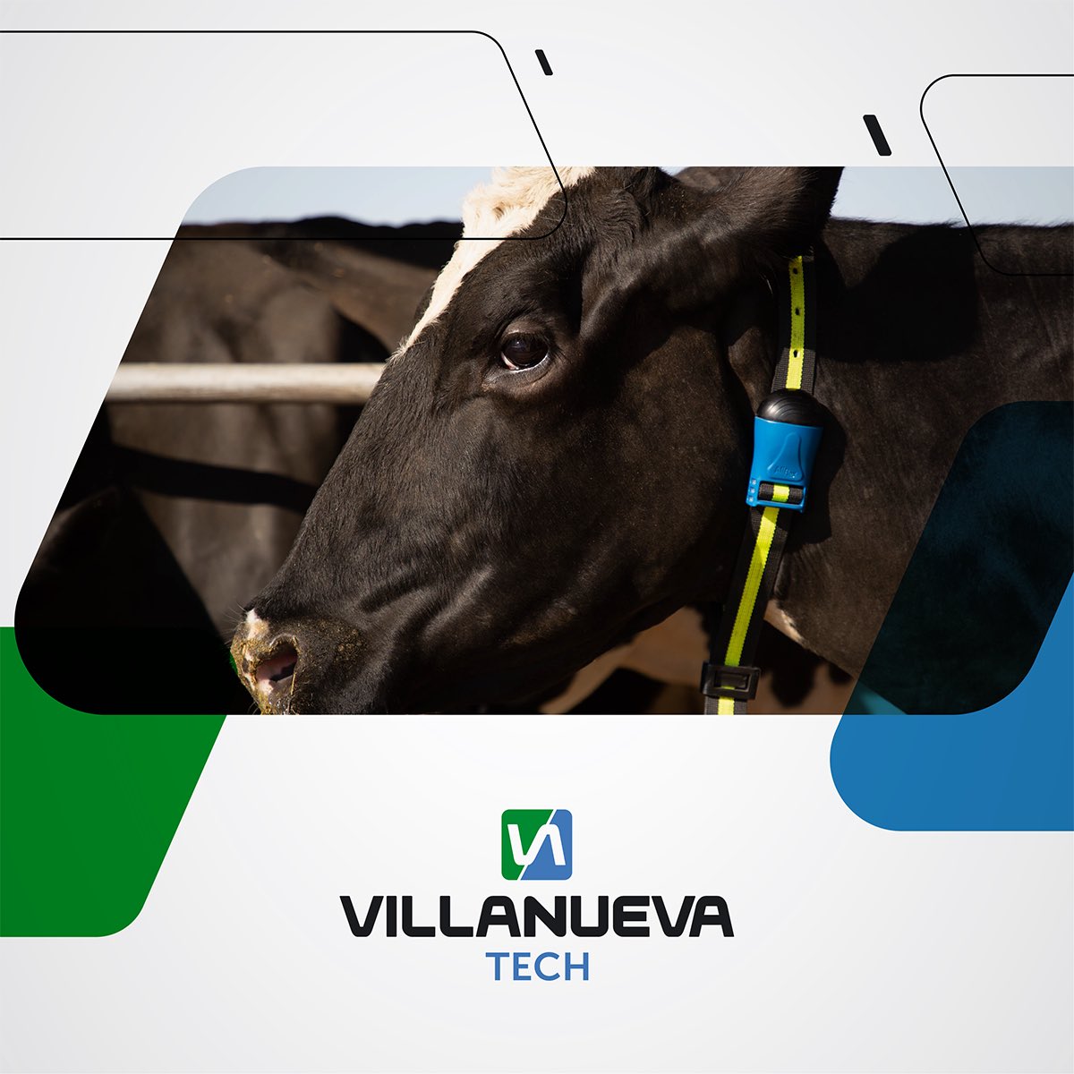 villanuevatech's tweet photo. Información, gestión y automatización para una ganadería inteligente👏🏼
Una división de Villanueva SA
https://t.co/sv1cWejbMP
#villanueva #ganadería #ganaderíainteligente #información #gestión #automatización #sensehub #allflex #heatimepro #dataflow #seriesmc200 #monitoreo https://t.co/i2Sb4ULHNj