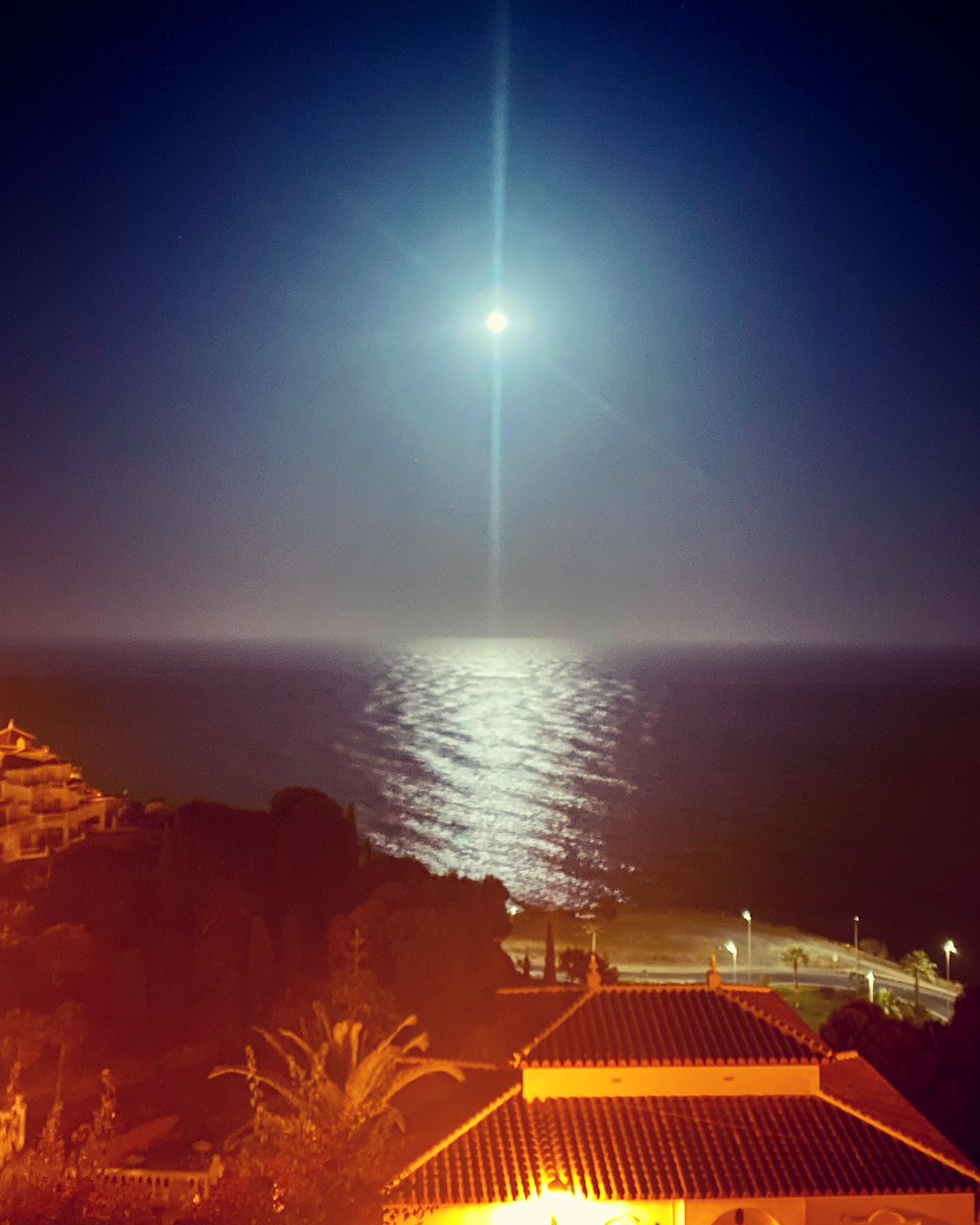 Amir Aly tweet media