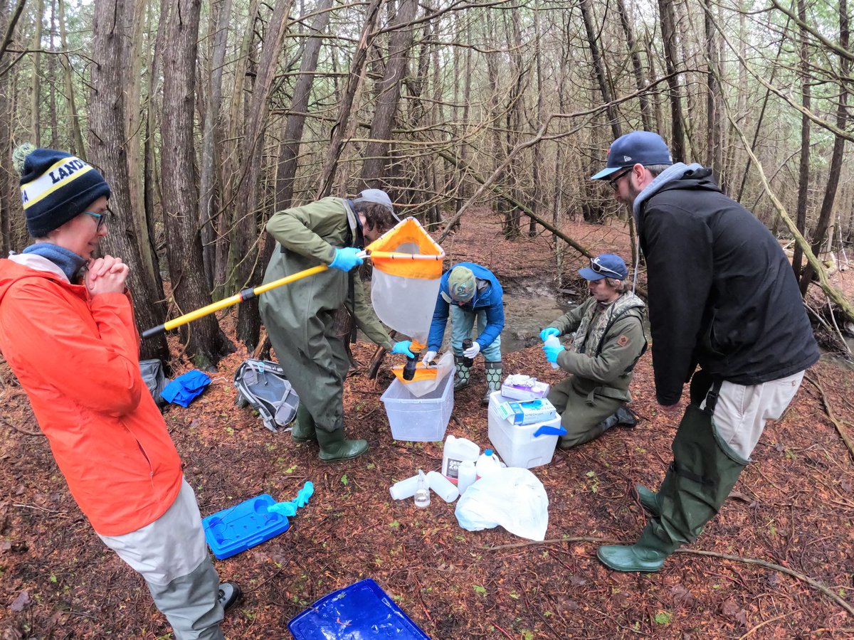 STREAM (@stream_cbg) on Twitter photo Shout out to <a href="/grandriverca/">Grand River Conservation Authority</a>, <a href="/KawarthaConserv/">KawarthaConservation</a>, <a href="/KLTptbo/">KawarthaLandTrust</a>, <a href="/EcoSpark_Env/">EcoSpark</a> & <a href="/swimdrinkfish/">Swim Drink Fish</a> for becoming the newest STREAM team members in ON! Thank you for your expertise and dedication to environmental stewardship. STREAM would not be possible without #communitybasedmonitoring! Shout out to <a href="/grandriverca/">Grand River Conservation Authority</a>, <a href="/KawarthaConserv/">KawarthaConservation</a>, <a href="/KLTptbo/">KawarthaLandTrust</a>, <a href="/EcoSpark_Env/">EcoSpark</a> & <a href="/swimdrinkfish/">Swim Drink Fish</a> for becoming the newest STREAM team members in ON! Thank you for your expertise and dedication to environmental stewardship. STREAM would not be possible without #communitybasedmonitoring!