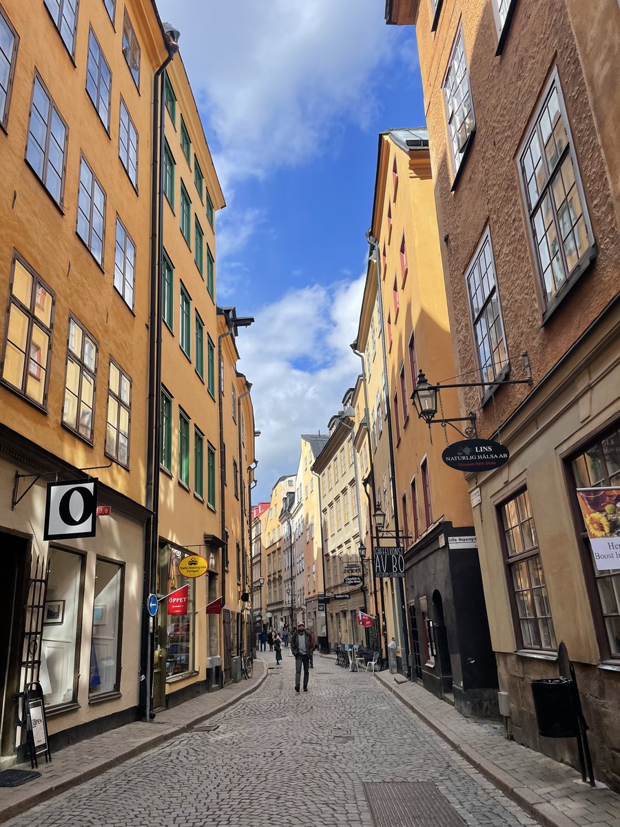 TeresaSellitto_'s tweet photo. Had a blast at #INSAR2023 presenting our work from our #SpecialOlympicsCanada study on the well-being of autistic and non-autistic people with intellectual disability during the COVID-19 pandemic + meeting amazing people + sightseeing in beautiful Stockholm, Sweden! https://t.co/5XyEHfIHSK
