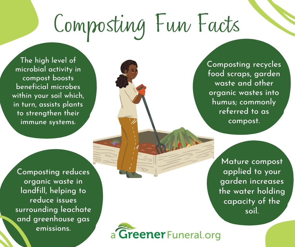 A Greener Funeral tweet media