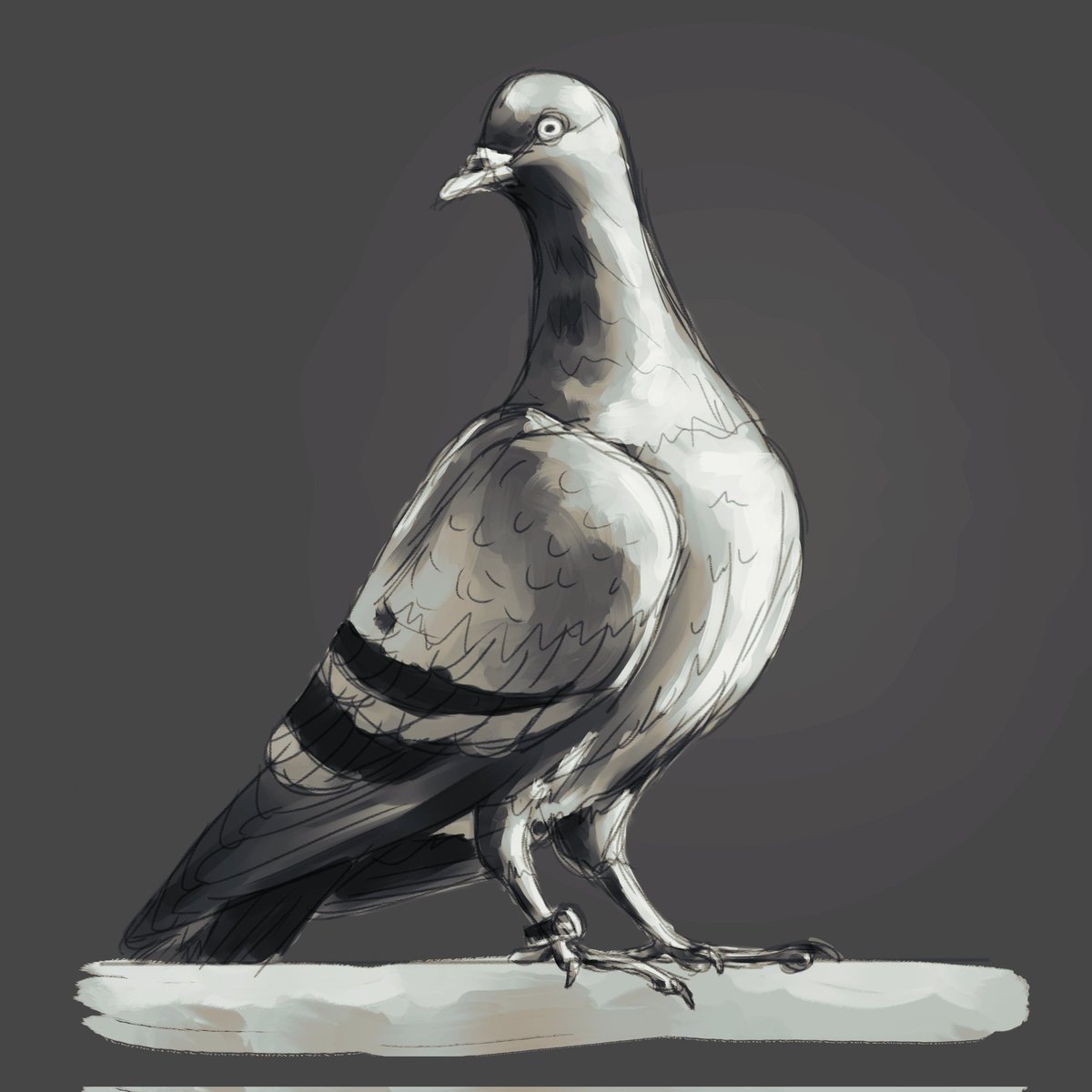 SHARE YOUR BIRD ART