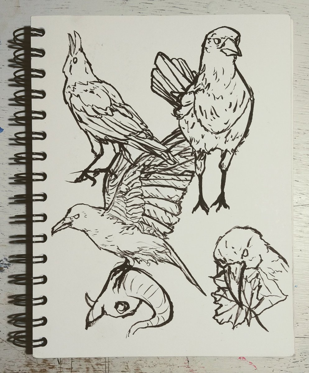 SHARE YOUR BIRD ART