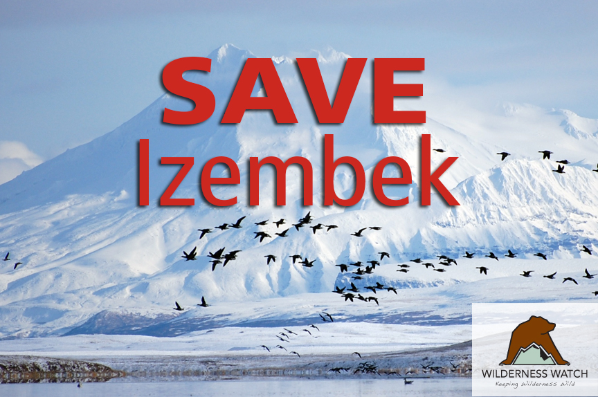 The proposal to build a road through the Izembek Wilderness in Alaska is not going away, nor are Wilderness Watch and our allies who have been fighting this road for decades. #SaveIzembek #KeepItWild 

wildernesswatch.salsalabs.org/izembek-land-e…