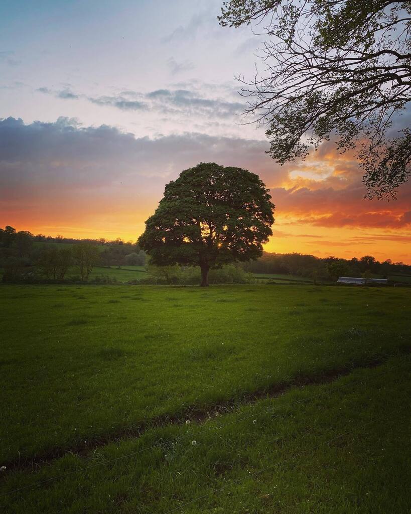 This lady never fails to impress with the light behind her ☺️

#sycamore #sunset #peace #explore #instagood #visitkilkenny #fishing #spring2023 #summer2023 #sunnysoutheast #elite #adventure #irelandsancienteast #selfcatering #staycation #norevalleywalk #… instagr.am/p/Cr_rBDxLjKT/